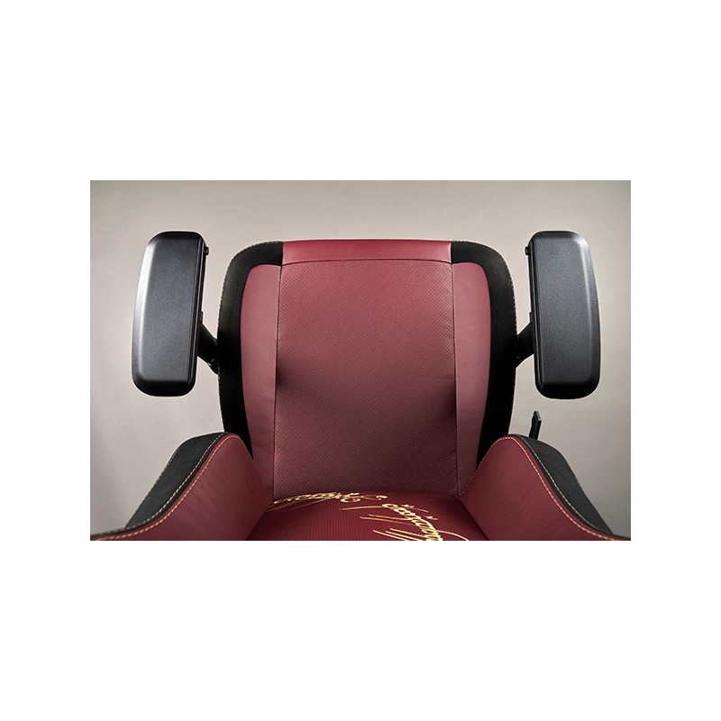 Fauteuil gaming Apollon Collector Le Seigneur des Anneaux | iconic by Subsonic