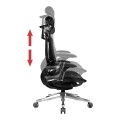 i-Care Excell ergonomic chair | iconic by Subsonic