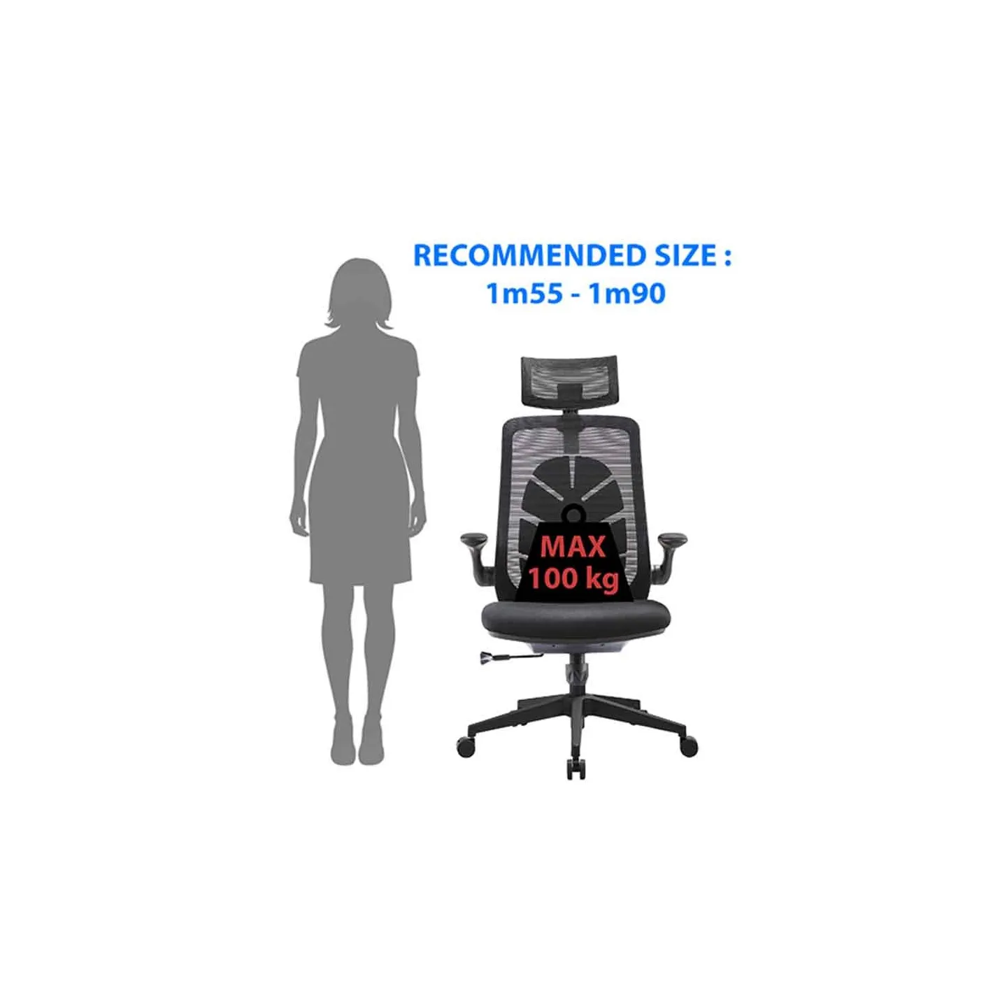 Silla de oficina ergonómica Leaf | Subsonic