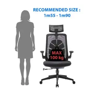 Silla de oficina ergonómica Leaf | Subsonic