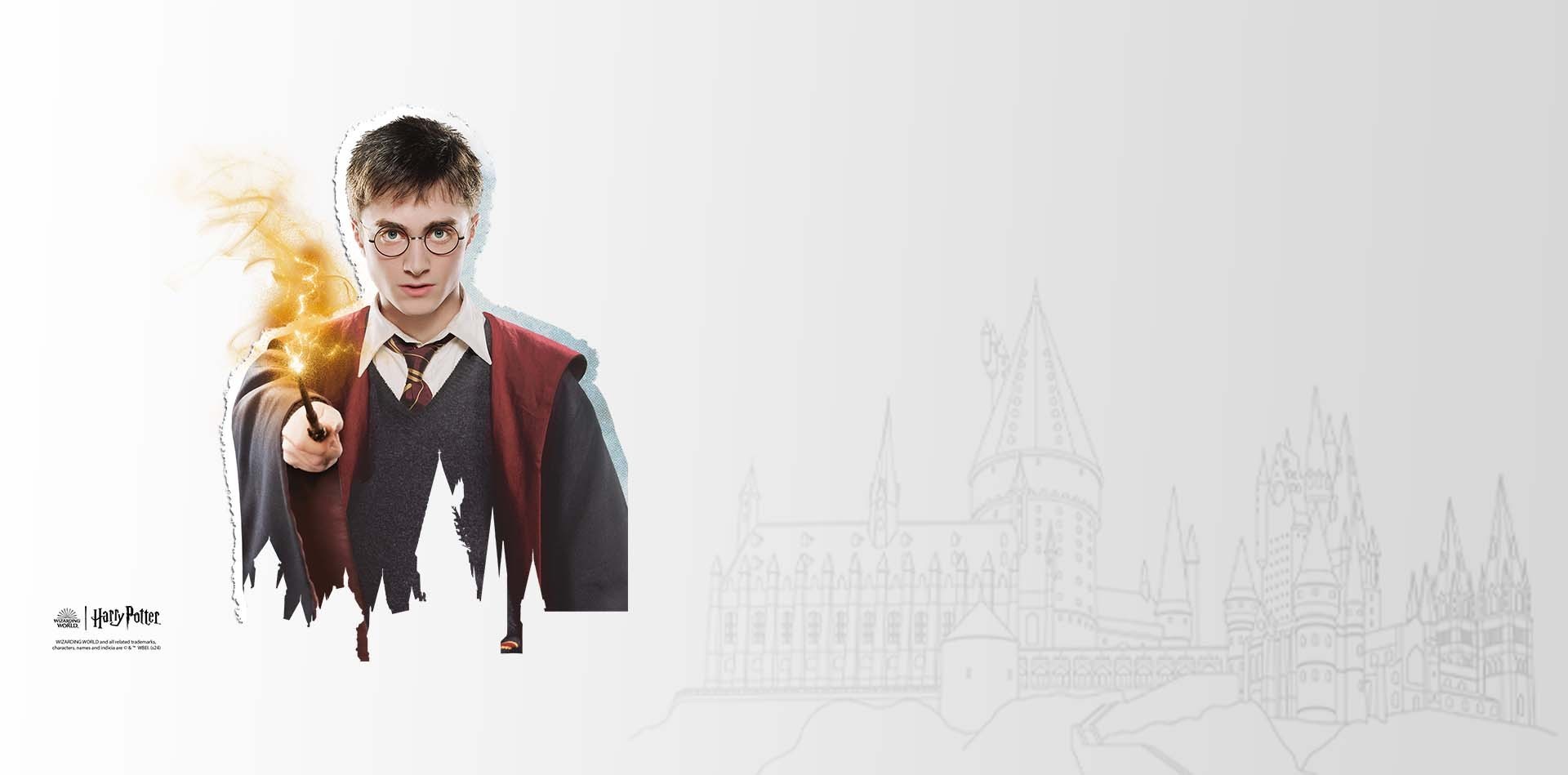 Produits officiels Harry Potter | Subsonic