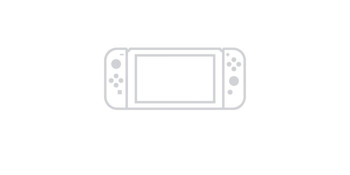 Nintendo Switch accessories
